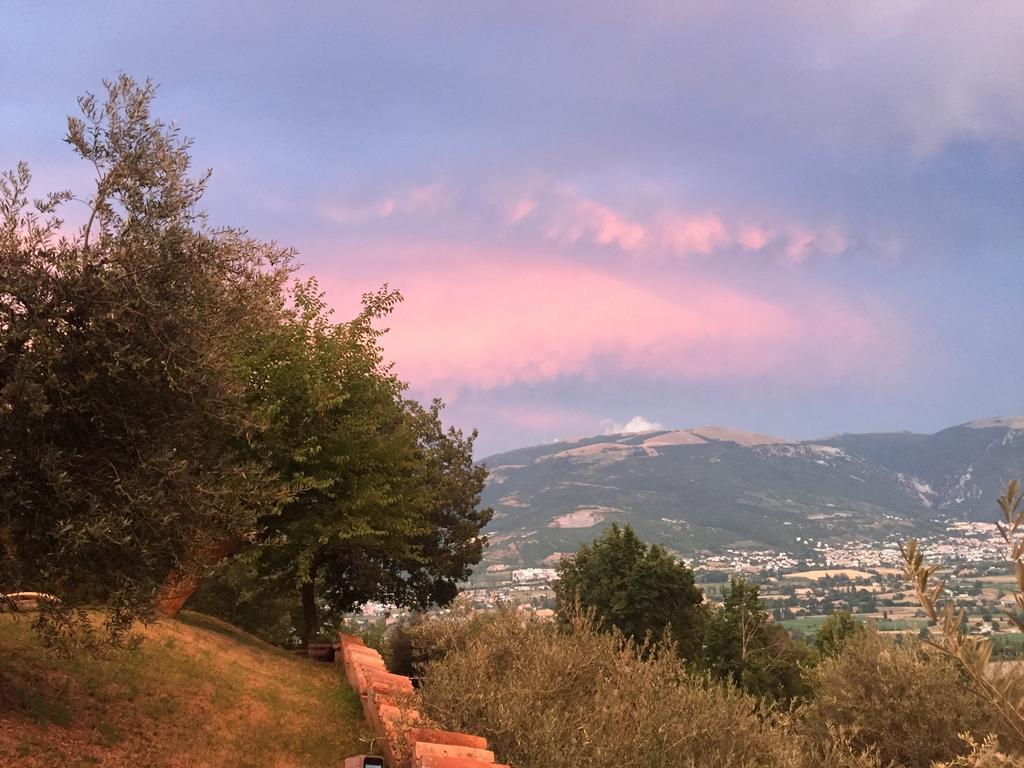 فيلا Casale Degli Ulivi غالدو تادينو المظهر الخارجي الصورة